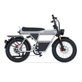 Coswheel CT20 2.0 Cargo Electric Bike