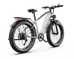 DUOTTS F26 Lite bicycle on a white background