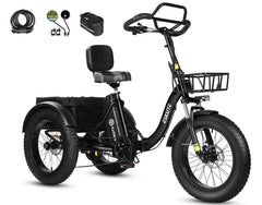 Eskute T302 Pro Cargo Electric Trike
