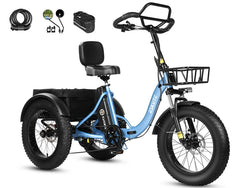 Eskute T302 Pro Cargo Electric Trike