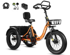 Eskute T302 Pro Cargo Electric Trike