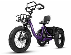 Eskute T302 Pro Cargo Electric Trike