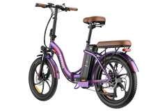 FAFREES F20 Pro City Electric Bike