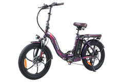FAFREES F20 Pro City Electric Bike