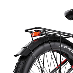 DUOTTS F26 Pro Electric Mountain Bike