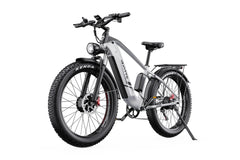 DUOTTS F26 Pro Electric Mountain Bike