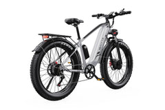 DUOTTS F26 Pro Electric Mountain Bike - Pogo Cycles