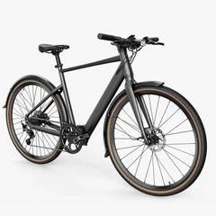 Fiido E-Gravel C21 Electric Bike