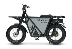 Riding Times GT53 Electric Cargo Bike - Pogo Cycles