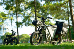 Riding Times GT53 Electric Cargo Bike - Pogo Cycles