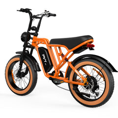 PVY A20 Electric Bike