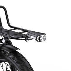 APEFOX RH30 Cargo Tricycle Bike