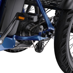 APEFOX RH30 Cargo Tricycle Bike