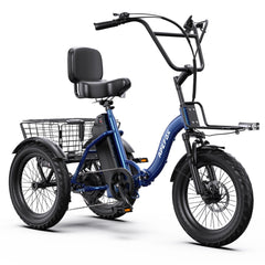 APEFOX RH30 Cargo Tricycle Bike