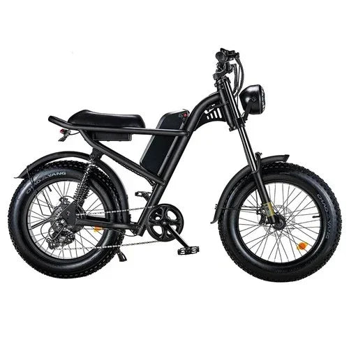 Riding Times Z8 Electric Bike - US - Pogo Cycles