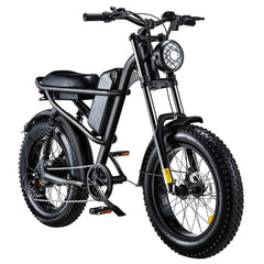 Riding Times Z8 Electric Bike - US - Pogo Cycles