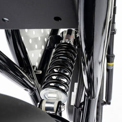 Ridstar Q20 Mini Electric Bike