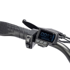 Ridstar Q20 Mini Electric Bike