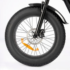 Ridstar Q20 Mini Electric Bike