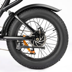 Ridstar Q20 Mini Electric Bike