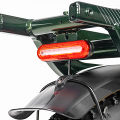 TESWAY X5 AWD Step-Thru Dual Motor Electric Bike