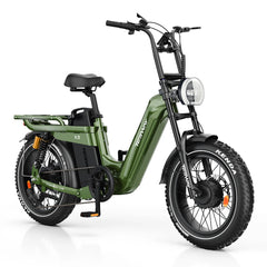 TESWAY X5 AWD Step-Thru Dual Motor Electric Bike