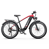 DUOTTS F26 Lite Electric Bike