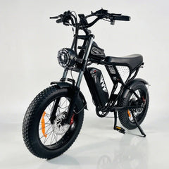 YVY C20 Electric Bike
