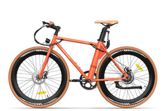 Fafrees F1 Electric Bike - Pogo Cycles