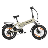 VARUN S20-1 Folding Electric Bike