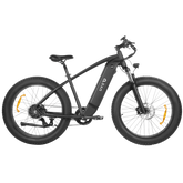 DYU King 750 Mountain Electric Bike - Pogo Cycles