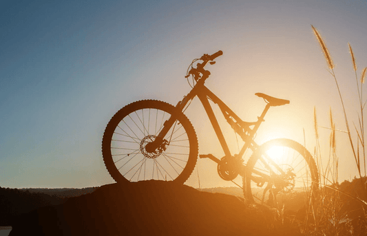 Full suspension electric bike on a hill at sunset, Pogo Cycles e-bike store photography