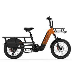 LANKELEISI Wombat-1 Cargo Electric Bike