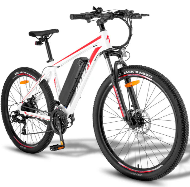 Fafrees F28 MT Mountain Electric Bike