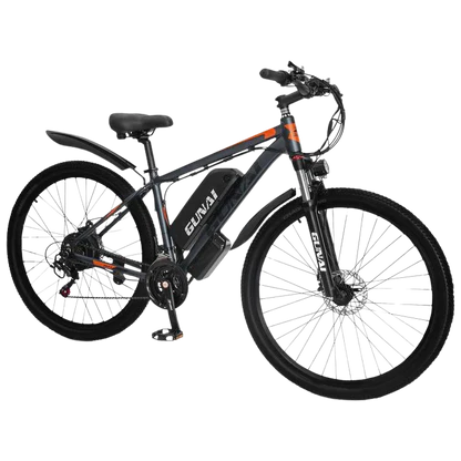 Bicicletta elettrica GUNAI GN29