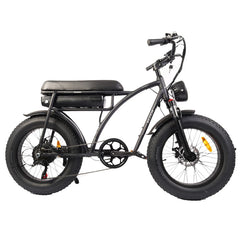 Bezior XF001 Plus Mountain Electric Bike - Pogo Cycles