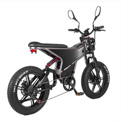 RANDRIDE DM711 Dual Motor Electric Bike