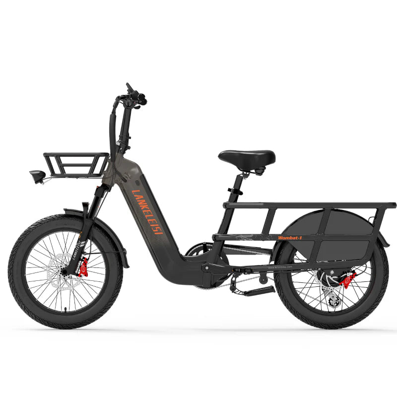 LANKELEISI Wombat-1 Cargo Electric Bike