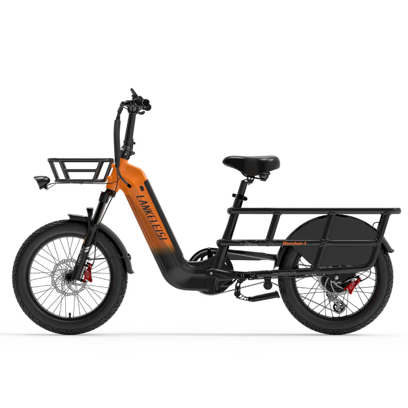 LANKELEISI Wombat-1 Cargo Electric Bike