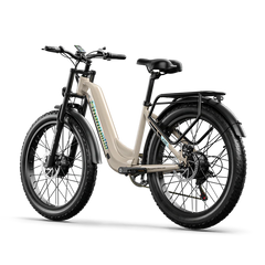 Shengmilo S700 1000W*2 Dual Motor Electric Bike - Pogo Cycles