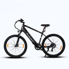 Bodywel M275 Electric Bike