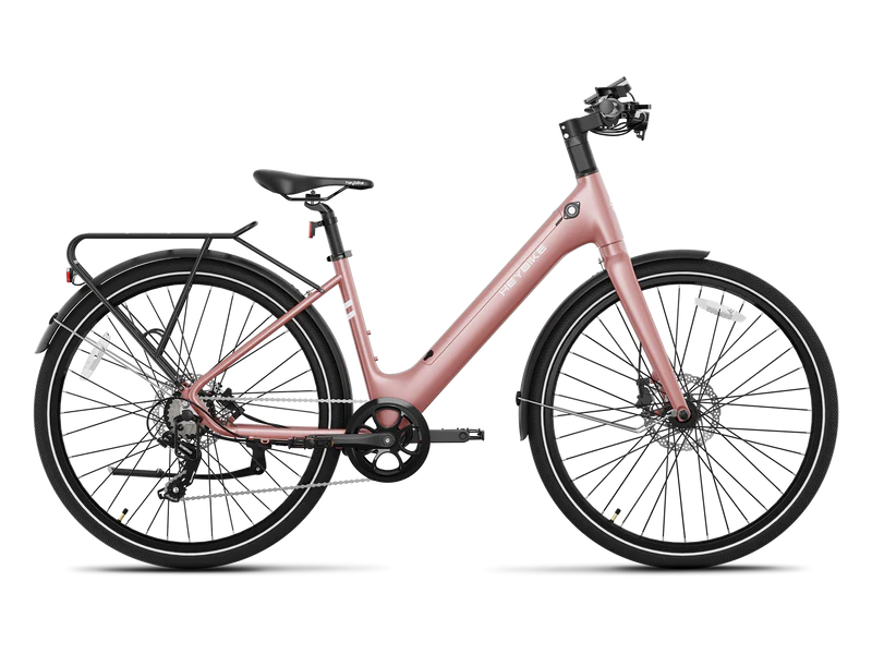 Heybike EC 1-ST Pedelec Electric Bike