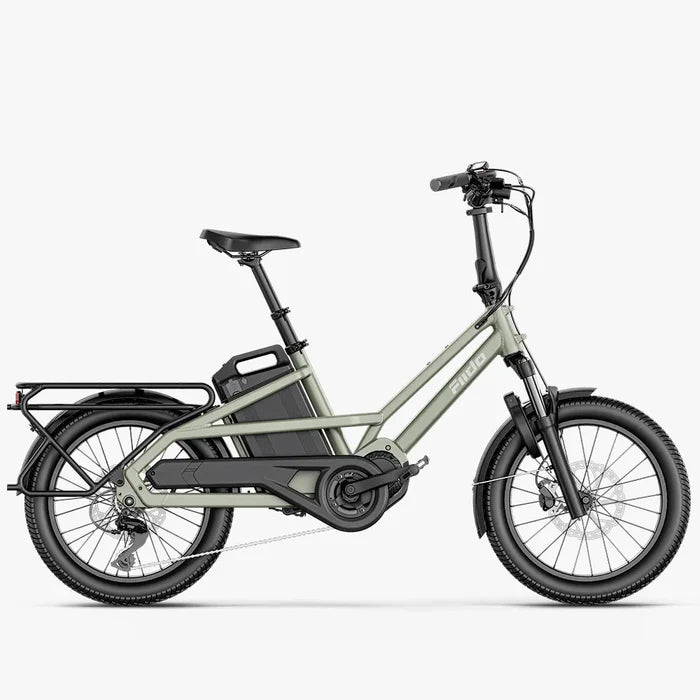 FIIDO T31 Electric bike with a cargo rack on a white background