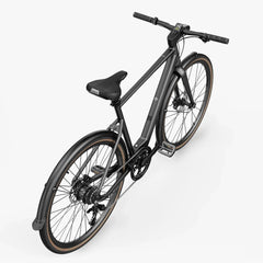 Fiido E-Gravel C21 Electric Bike