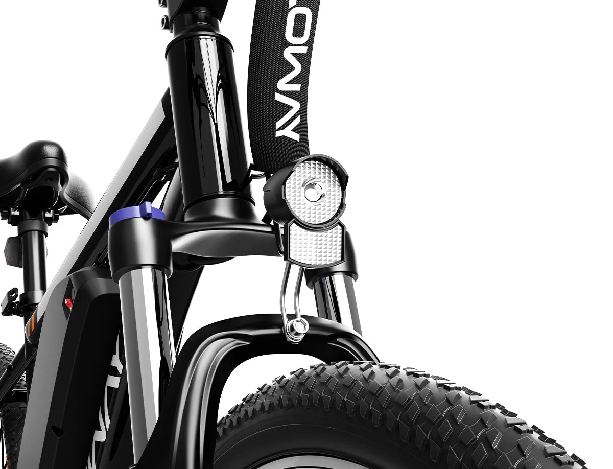 Yoloway M10 Electric Bike