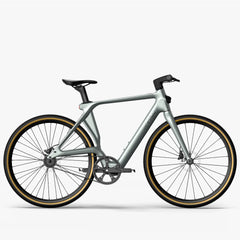 Fiido Air Carbon Fiber E-bike - Pogo Cycles