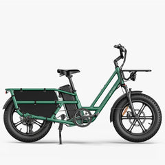 Fiido T2 Longtail Cargo E-Bike - UK - Pogo Cycles