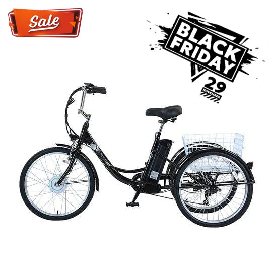 GOGOBEST GF100 Elektro-City-Dreirad-Lasten-E-Bike