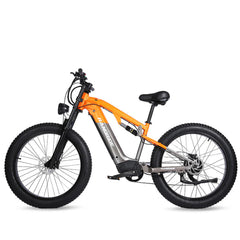 RANDRIDE YX80 Electric Bike - Pogo Cycles